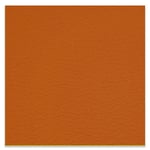 Magma