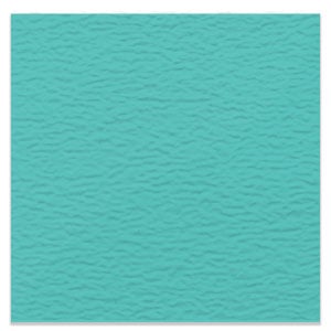 Shoal