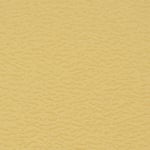 Sahara Sahara